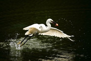 《女医生特殊的治疗》