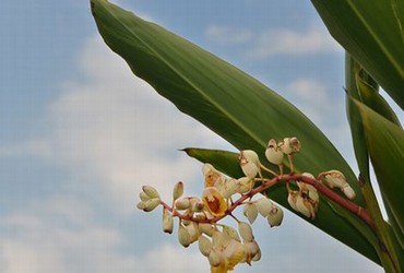 悲伤荷包蛋井川里予微博照