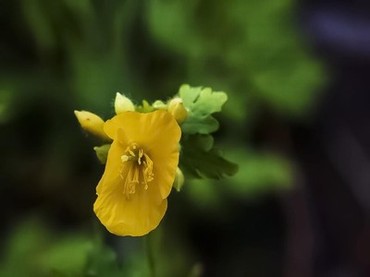 飘花电视剧电影